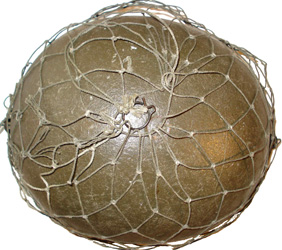 Vue de dessus. Vue de dessus.