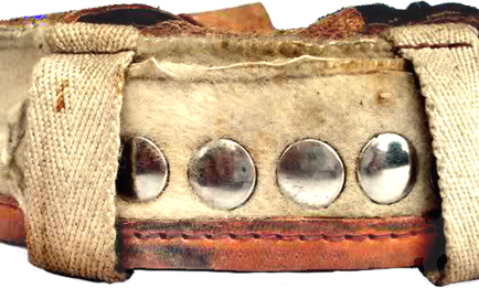 Têtes des pressions femelles (coiffe à feutre blanc).