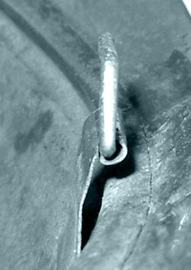 Vu de profil. Vu de profil.