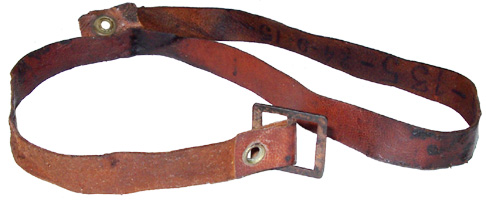 Jugulaire complète. Jugulaire complète.