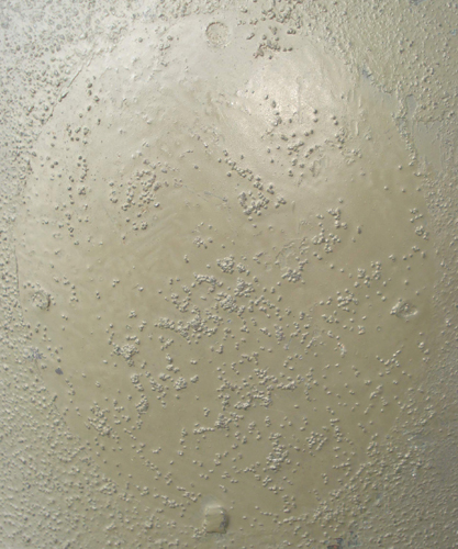 Insigne retiré, où l'on note les quatre points de soudure. Insigne retiré, où l'on note les quatre points de soudure.