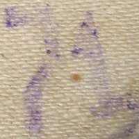 Tampon de contrôle. Tampon de contrôle.