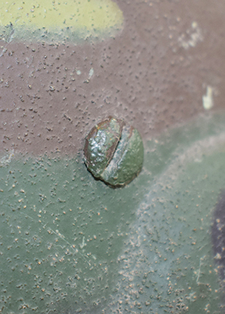 Tête de vis. Tête de vis.