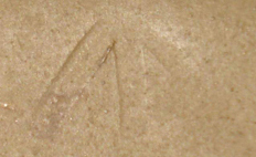 Broad arrow estampé.