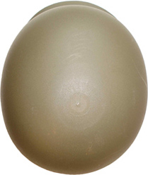 Vue de dessus. Vue de dessus.