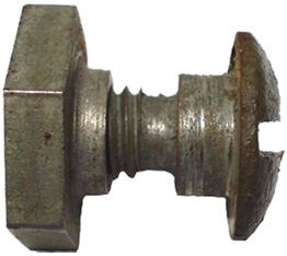 Vue de profil. Vue de profil.