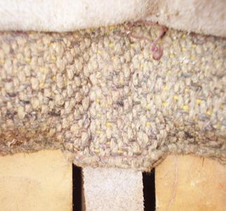 Point de fixation latérale de la sangle.