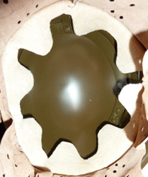 Vue intérieure. Vue intérieure.