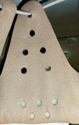 Patte de coiffe. Patte de coiffe.