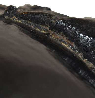 Détails montage amortisseur frontal.