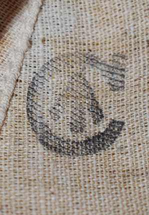 Broad arrow canadienne.