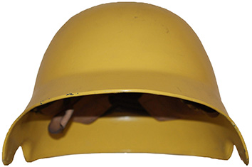 Échancré jaune. Échancré jaune.