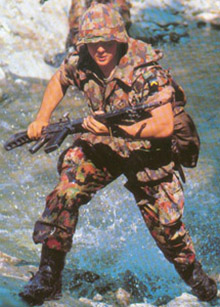 Grenadier. Mle 71.