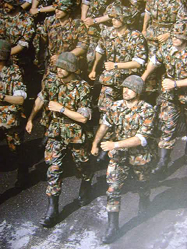 Défilé. Mle 71.