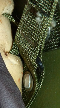 Fixation passant de jugulaire.