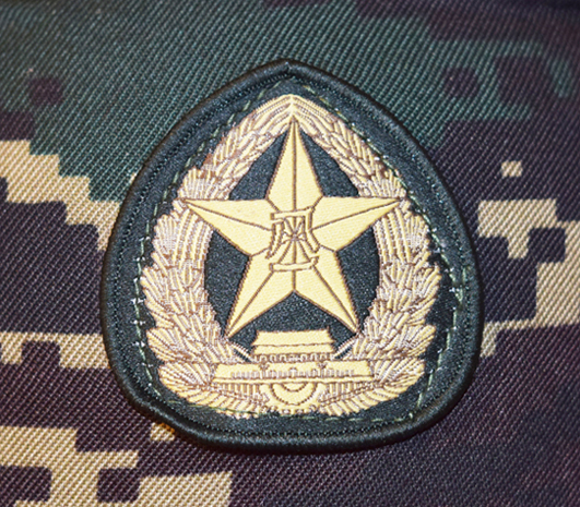 Insigne PLA cousu. Insigne PLA cousu.