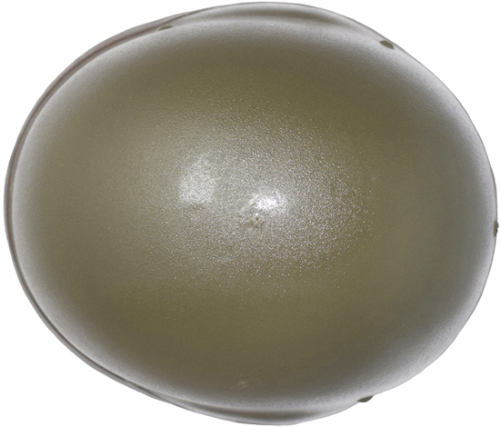 Vue de dessus. Vue de dessus.