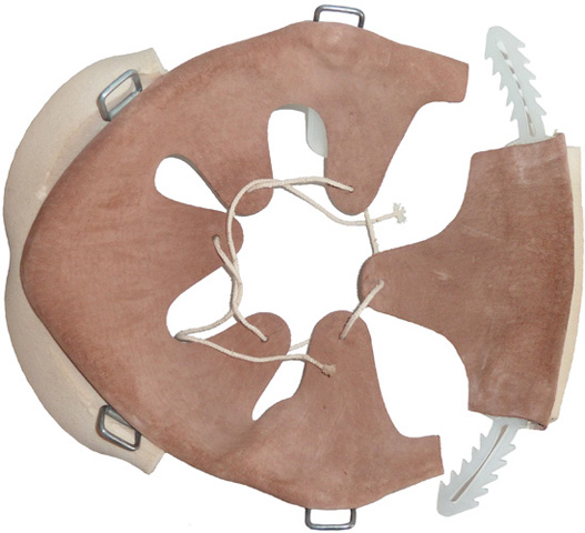 Coiffe, partie arrière et avant désolidarisées.