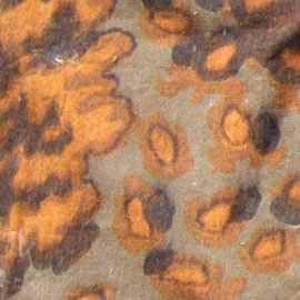 Côté automne. Côté automne.