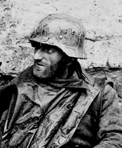 Support de matériels de camouflage, en grillage. Support de matériels de camouflage, en grillage.