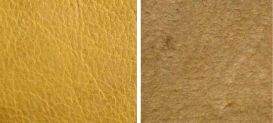 Cuir de mouton, recto et verso. Cuir de mouton, recto et verso.