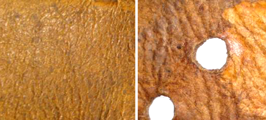 Cuir de chèvre, recto et verso. Cuir de chèvre, recto et verso.