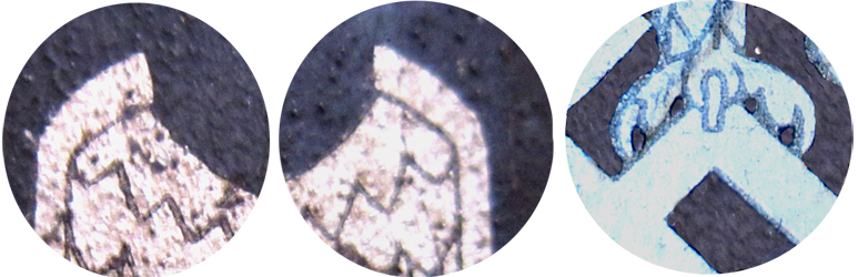 Aigle NS, détails des becs d'aile et de la patte droite. Aigle NS, détails des becs d'aile et de la patte droite.