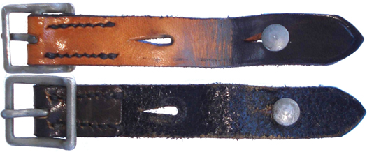 Partie courte. Partie courte.