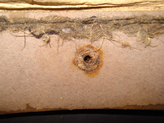 Rivet jugulaire. Le feutre est très usé. Rivet jugulaire. Le feutre est très usé.