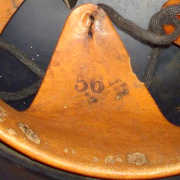 Dent de loup avec marquage taille. Dent de loup avec marquage taille.