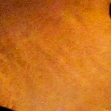 Fine basane fragile. Fine basane fragile.