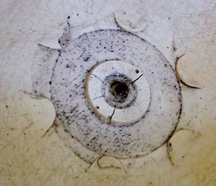 Vis sommitale et plots de maintien de la coiffe. Vis sommitale et plots de maintien de la coiffe.