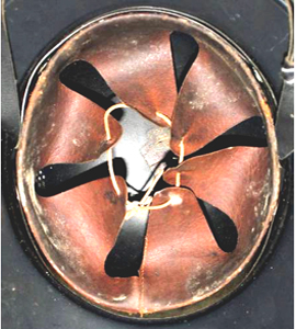 6 dents en cuir. 6 dents en cuir.