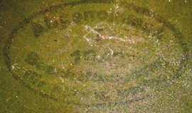 Abnahmestelle I, 1940. Abnahmestelle I, 1940.