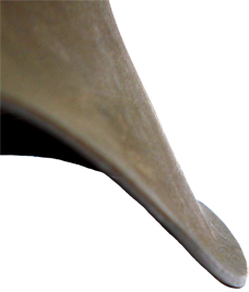 Vue de profil de la bordure. Vue de profil de la bordure.