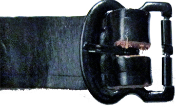 Ardillon ouvert. Ardillon ouvert.