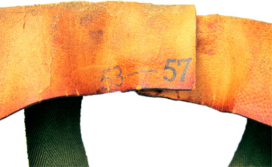 Indication de l'échelle des tailles.