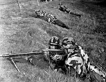 1955. 1955.