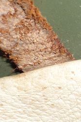 Passage de la jugulaire. Passage de la jugulaire.