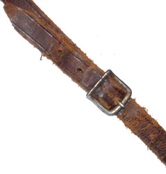 Jugulaire. Jugulaire.