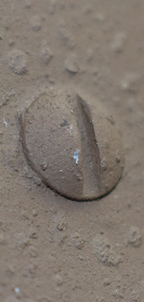 Tête de vis. Tête de vis.