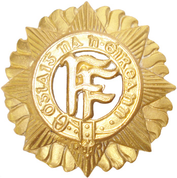 Insigne dorée de casquette. Insigne dorée de casquette.