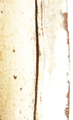 Bordure retournée. Bordure retournée.