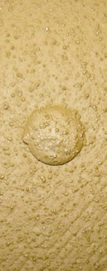 Tête de rivet. Tête de rivet.