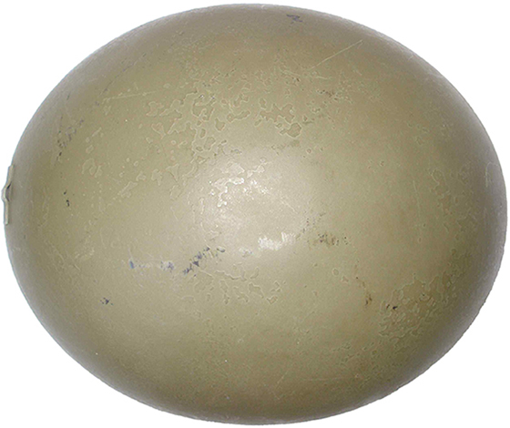 Vue de dessus. Vue de dessus.