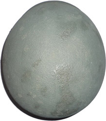 Vue de dessus. Vue de dessus.