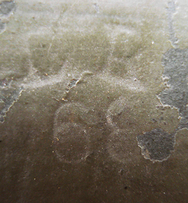 Marquage fabricant (DR). Marquage fabricant (DR).