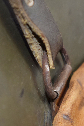 Passant repris d'un exemplaire hongrois dans une bombe allemande. Passant repris d'un exemplaire hongrois dans une bombe allemande.