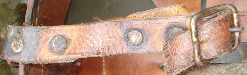 Modèle de jugulaire repris d'un casque suédois. Modèle de jugulaire repris d'un casque suédois.