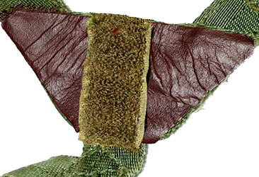 Jugulaire modifiée.